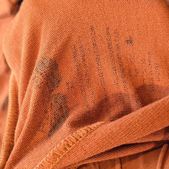 Free Birdees Rust Orange Highland Cow Hoodie & Joggers Set | Size 2T | Viscose/ - Picture 4 of 7